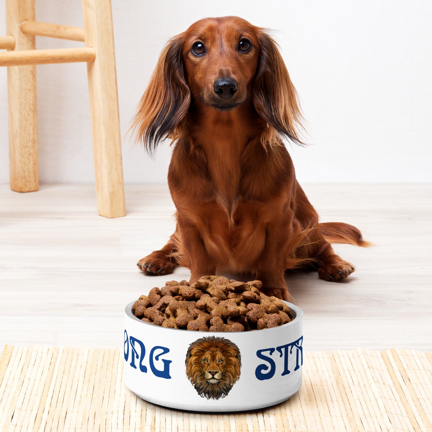 “STRONG” Pet Bowl W/Blue Font