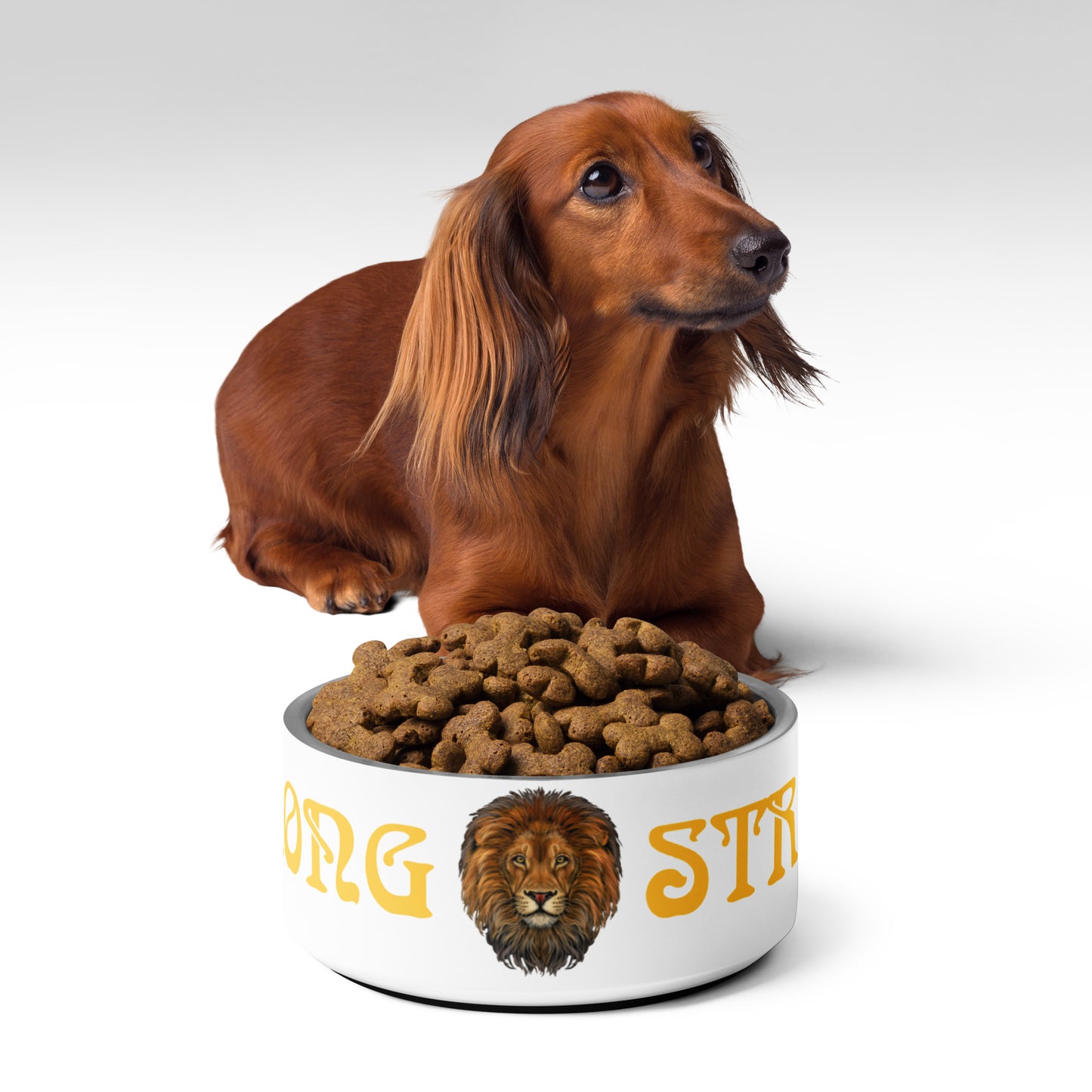 “STRONG” Pet Bowl W/Yellow Font