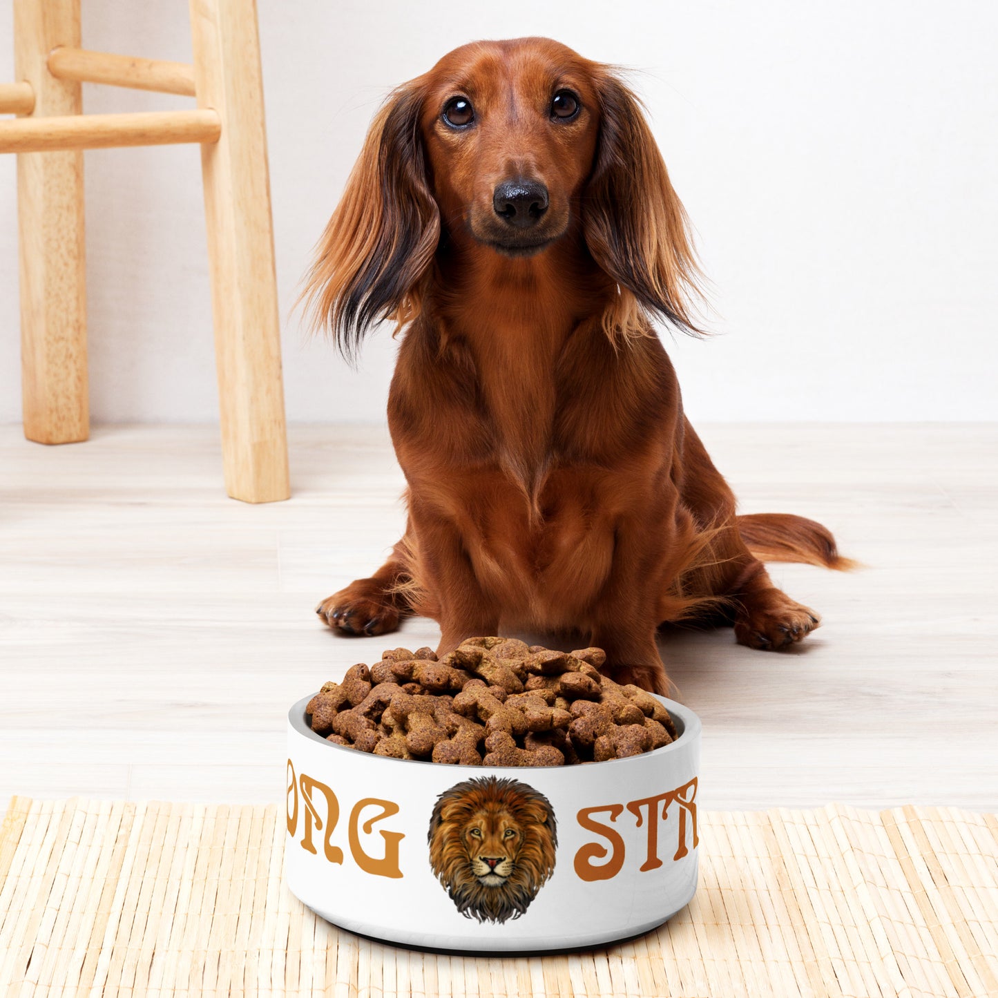 “STRONG” Pet Bowl W/Bronze Font