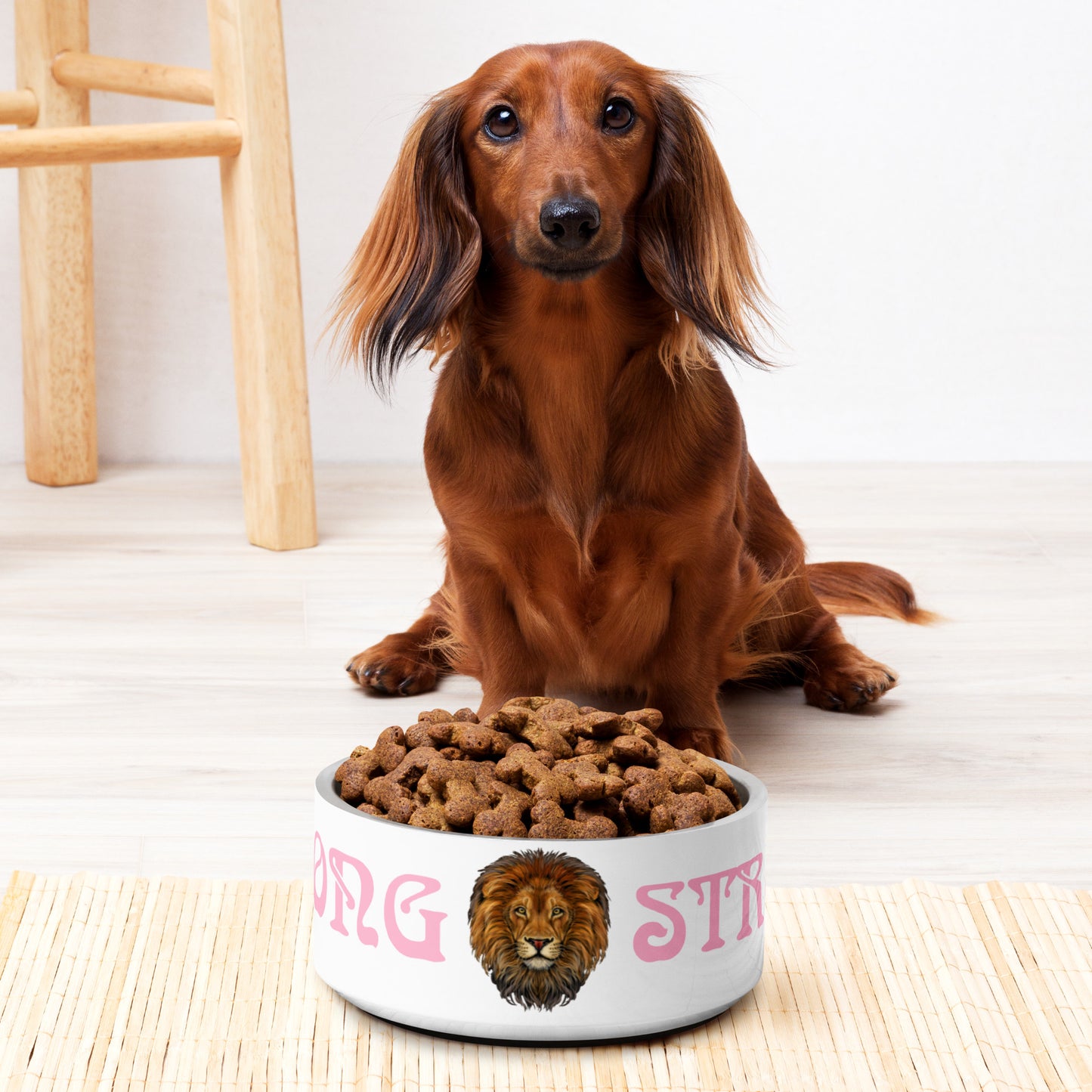 “STRONG” Pet Bowl W/Cotton Candy Font