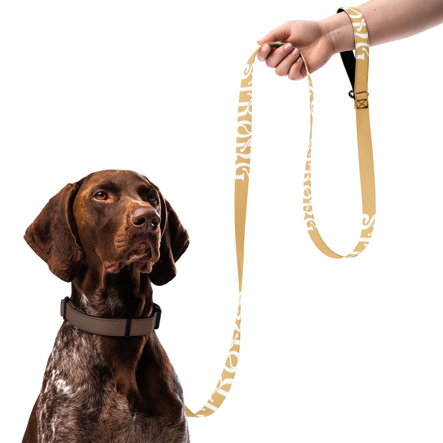 “STRONG” Fawn Pet Leash W/White Font