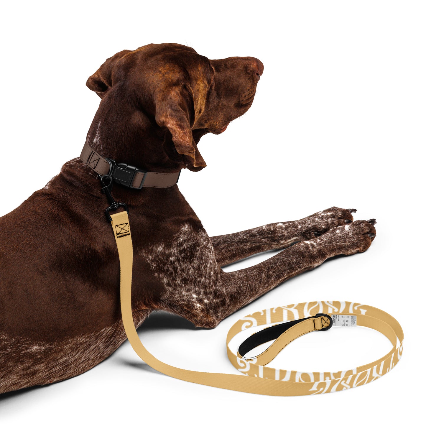 “STRONG” Fawn Pet Leash W/White Font