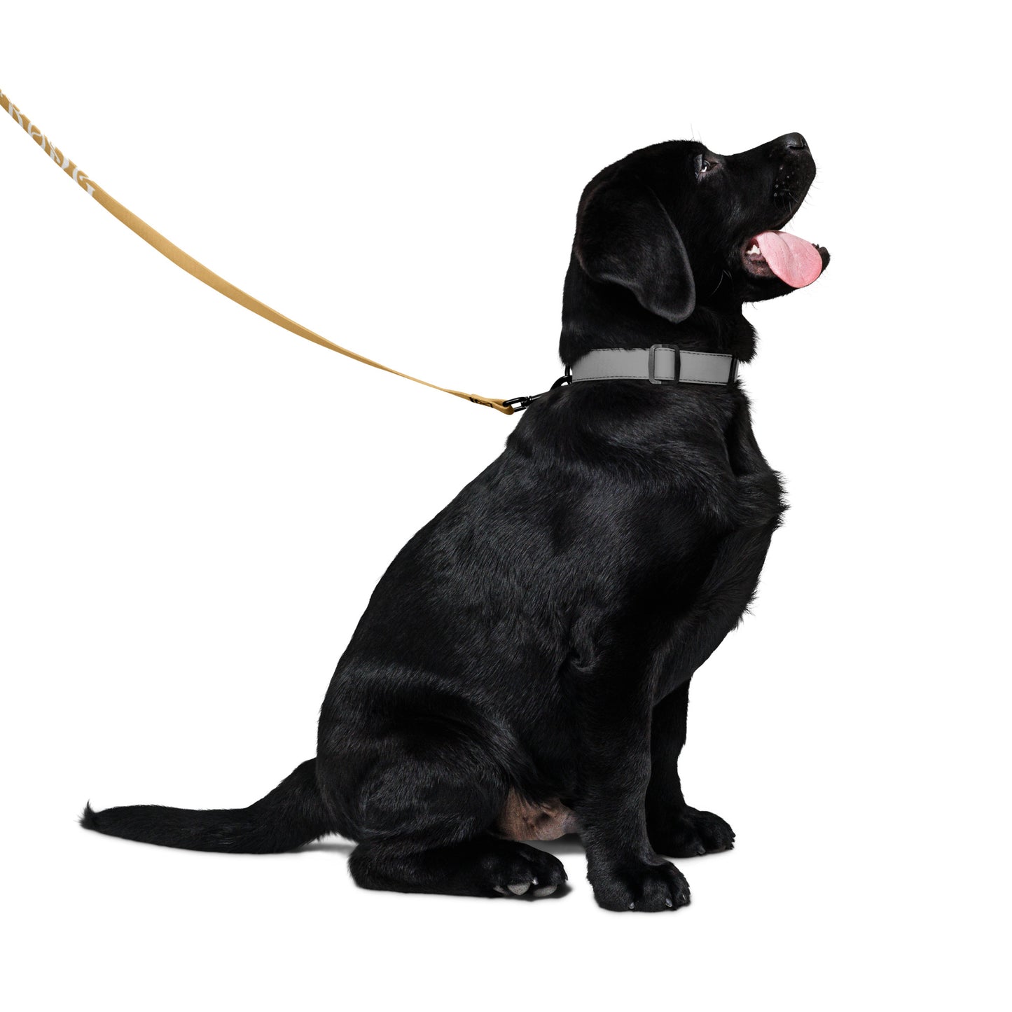 “STRONG” Fawn Pet Leash W/White Font