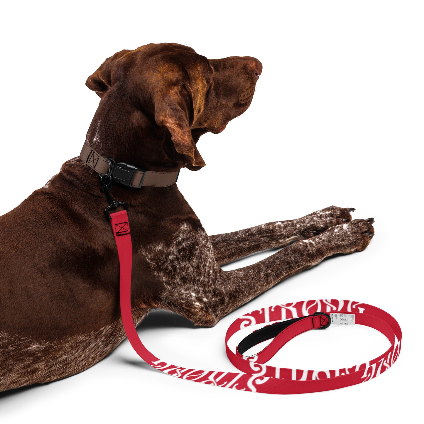 “STRONG” Red Pet Leash W/White Font