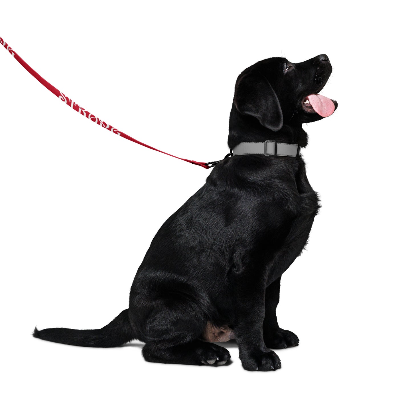 “STRONG” Red Pet Leash W/White Font