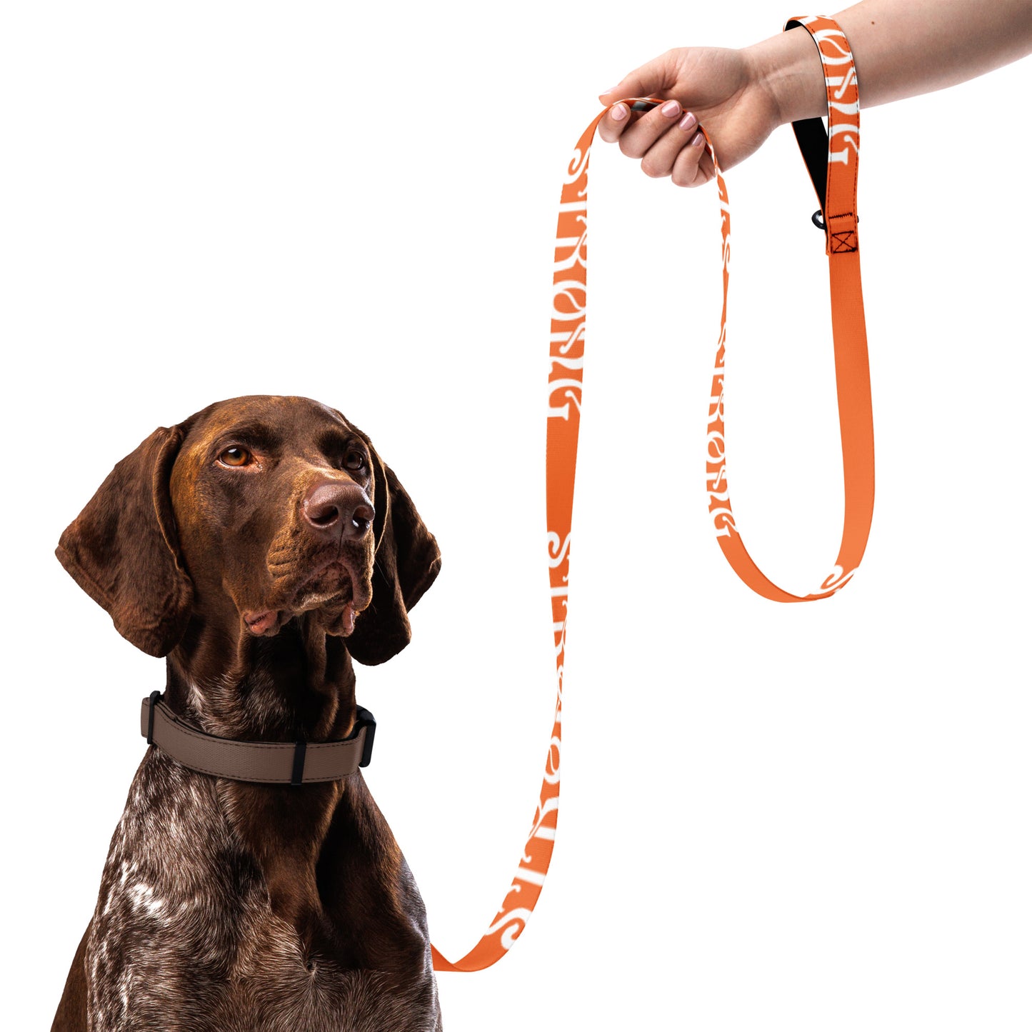 “STRONG”Orange Pet Leash W/White Font