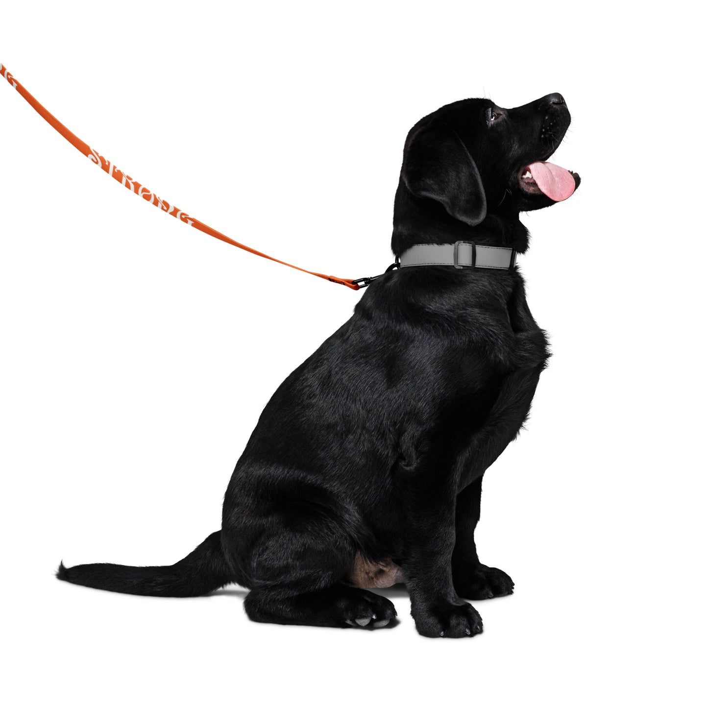 “STRONG”Orange Pet Leash W/White Font