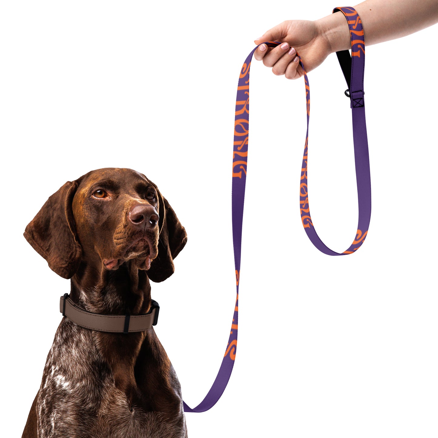 “STRONG” Purple Pet Leash W/Orange Font