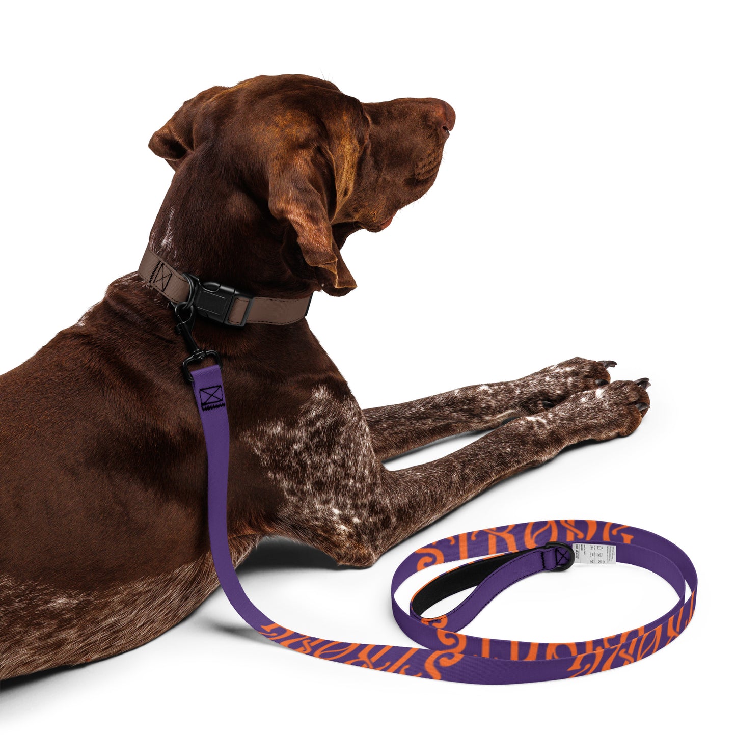 “STRONG” Purple Pet Leash W/Orange Font