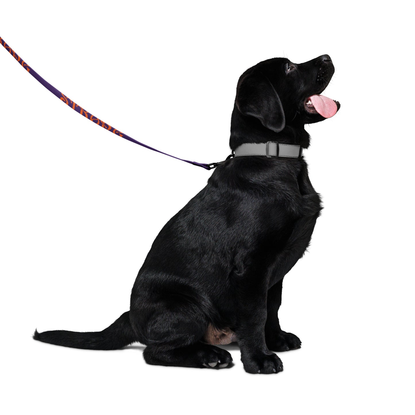 “STRONG” Purple Pet Leash W/Orange Font
