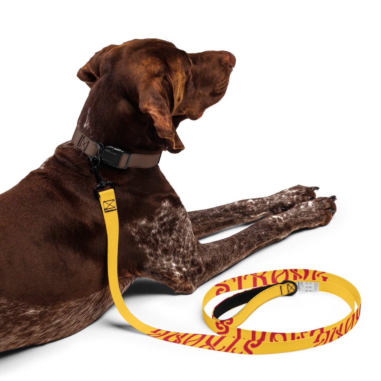 “STRONG”Yellow Pet Leash W/Red Font