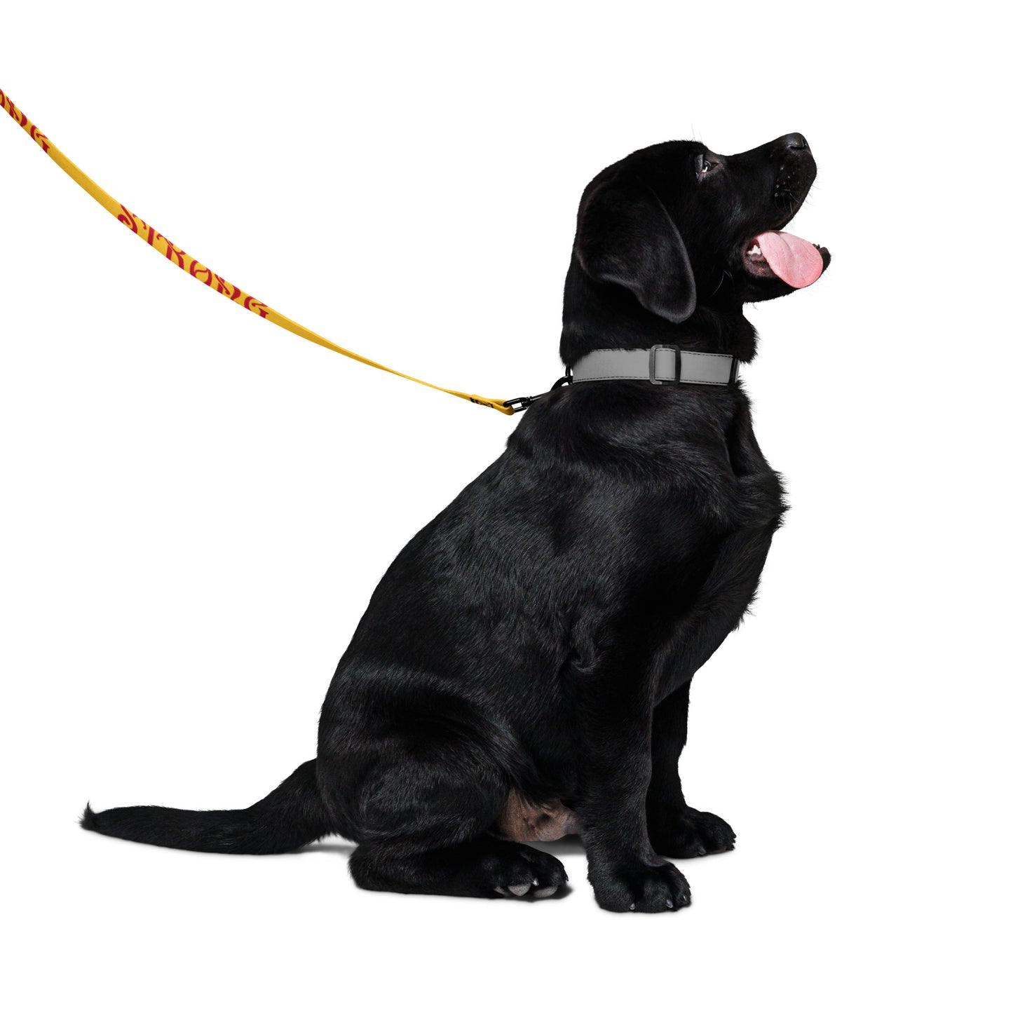 “STRONG”Yellow Pet Leash W/Red Font