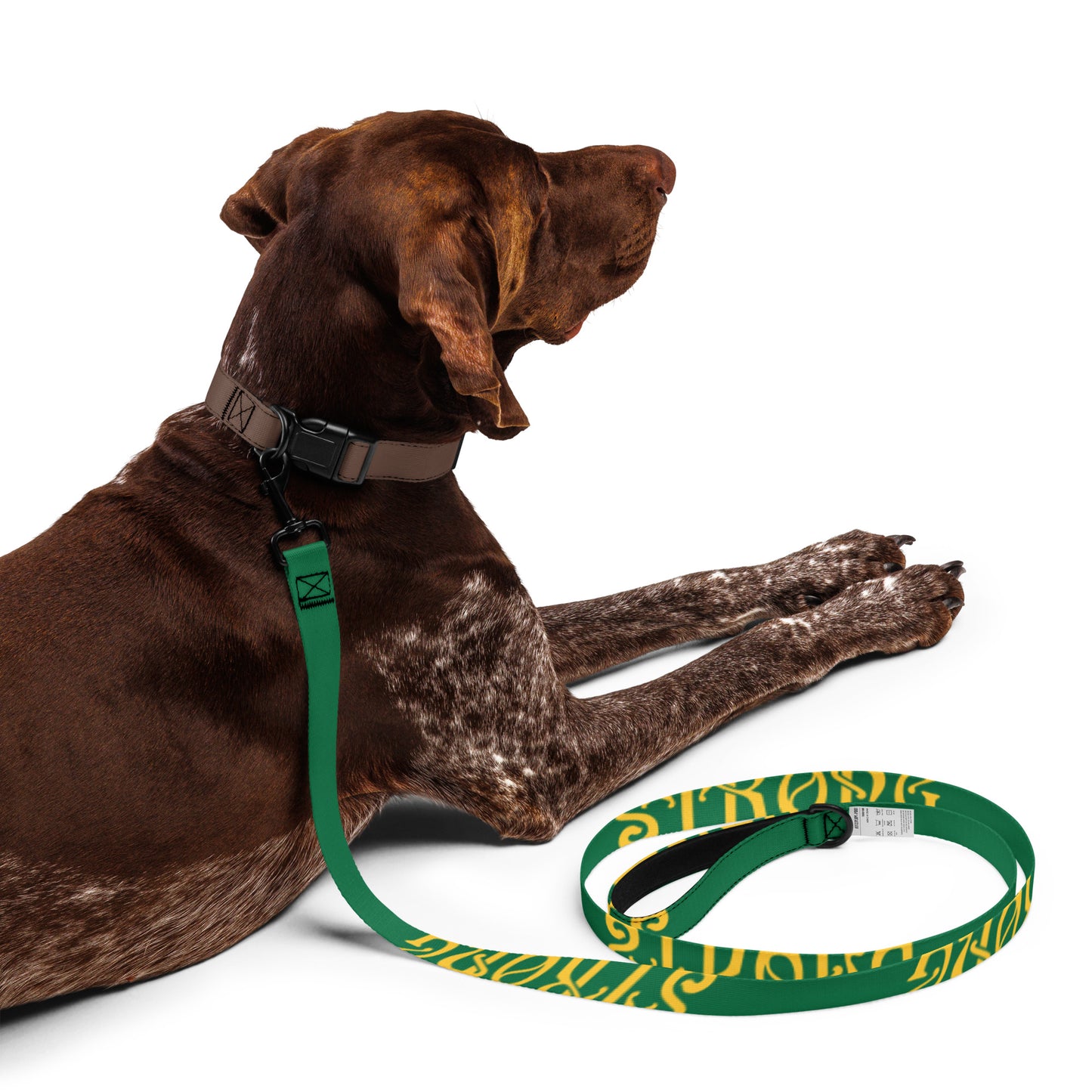 “STRONG” Green Pet Leash W/Yellow Font