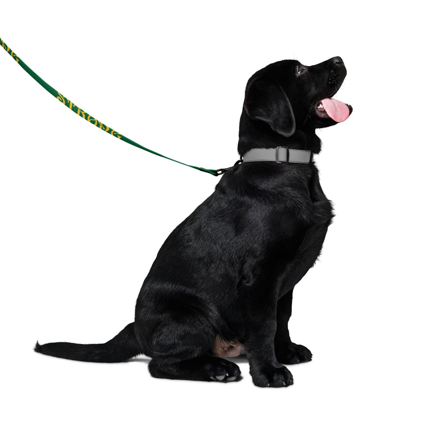 “STRONG” Green Pet Leash W/Yellow Font