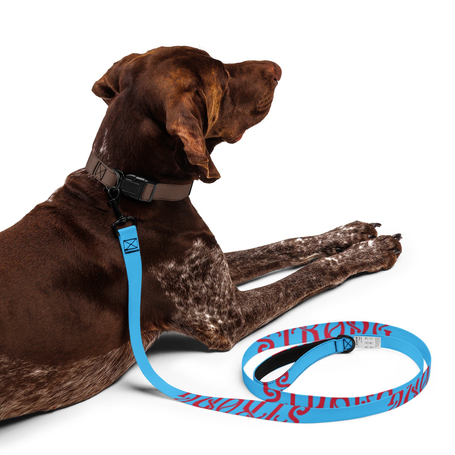 “STRONG”SkyBlue Pet Leash W/Red Font