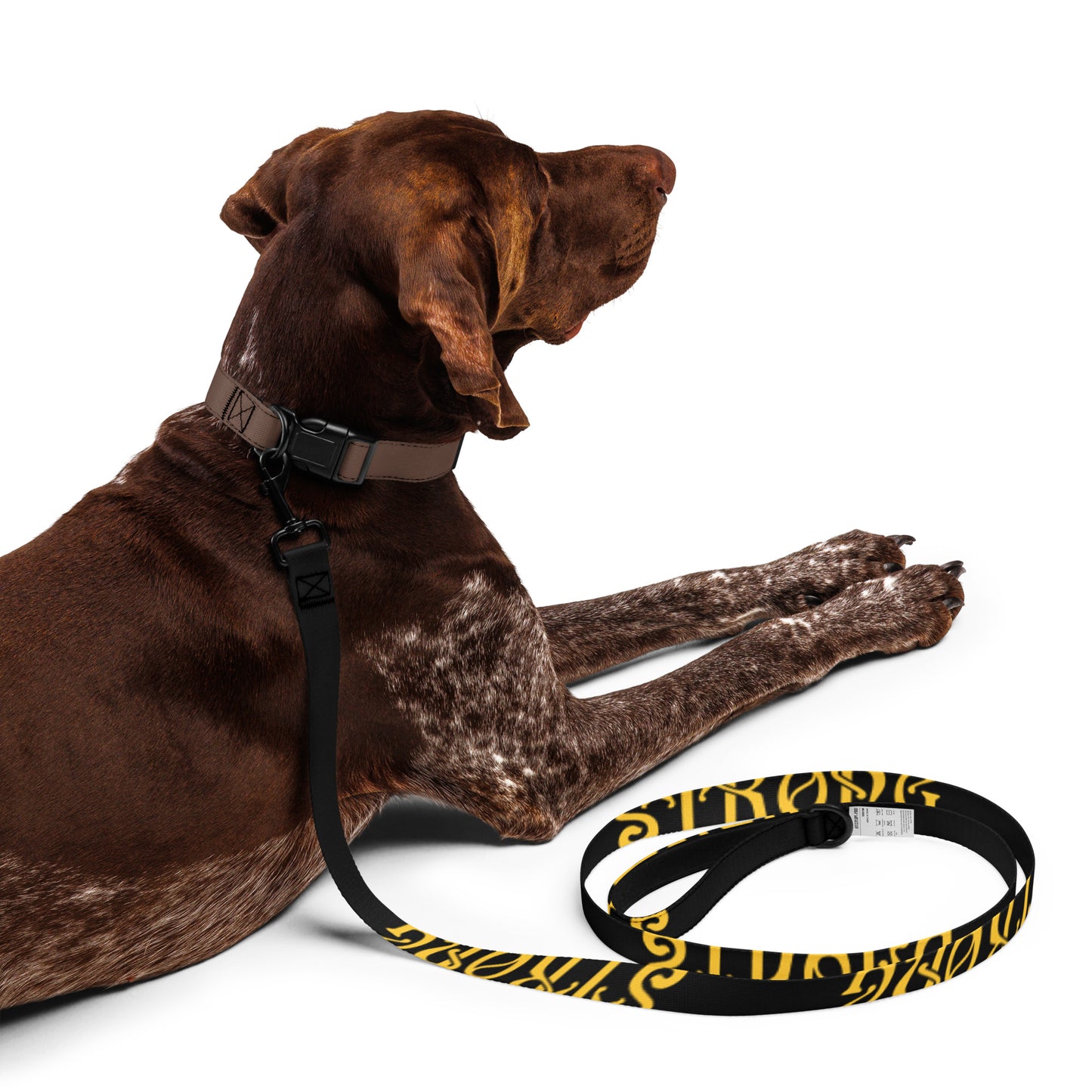 “STRONG” Black Pet Leash W/Yellow Font