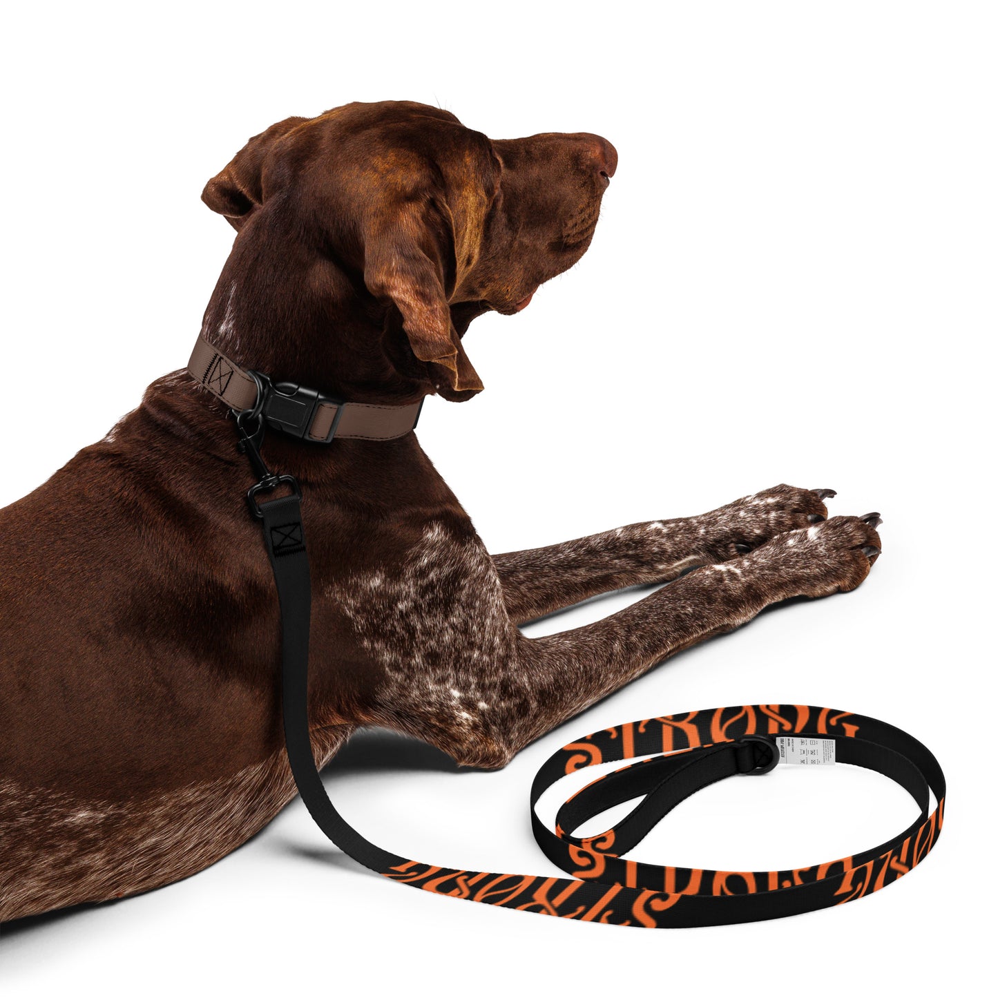 “STRONG”Black Pet Leash W/Orange Font