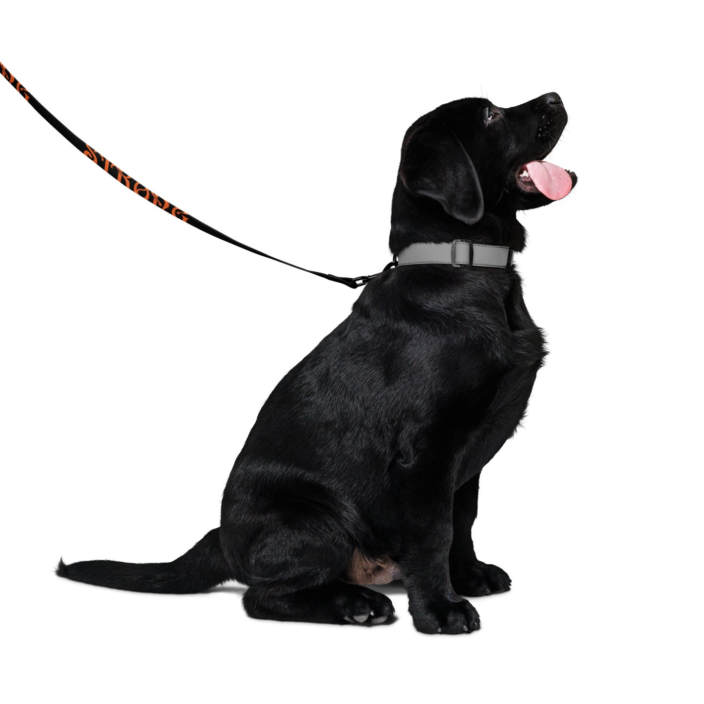 “STRONG”Black Pet Leash W/Orange Font