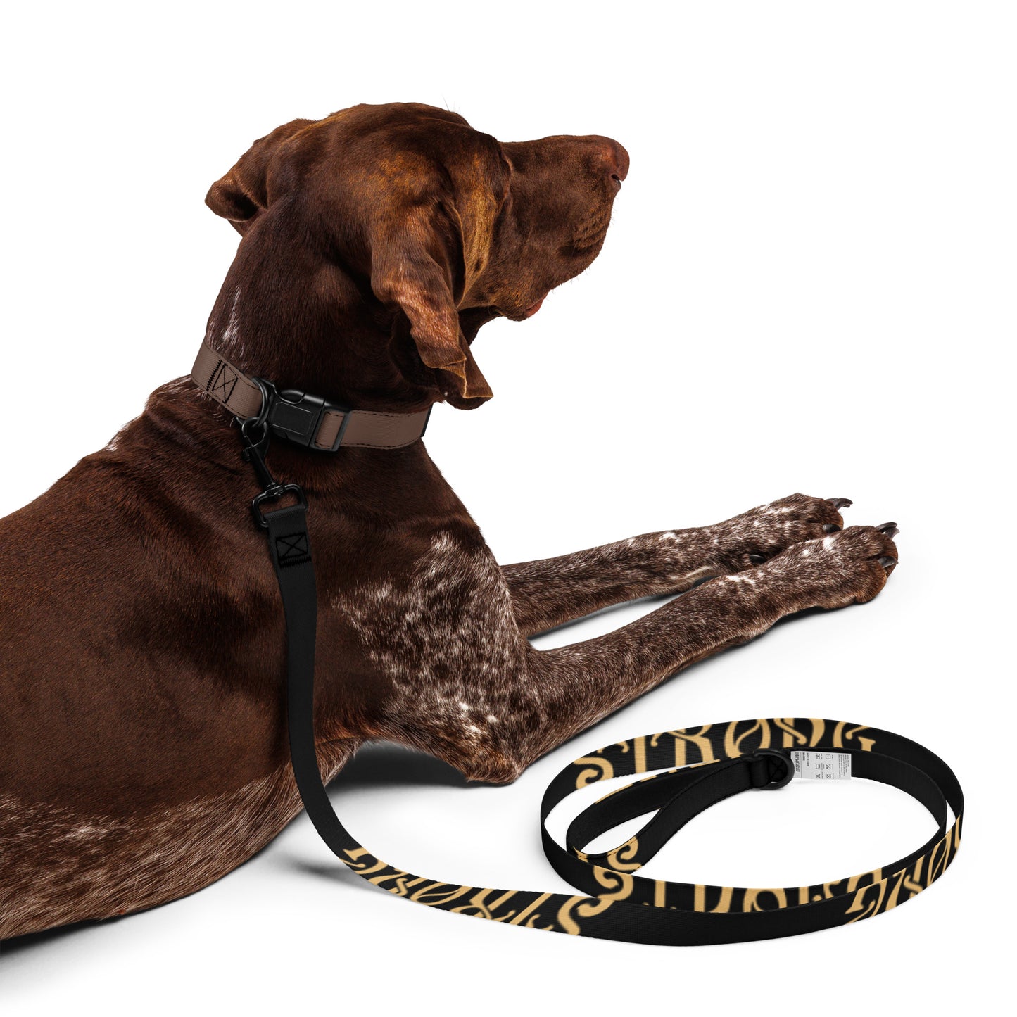 “STRONG”Black Pet Leash W/Fawn Font