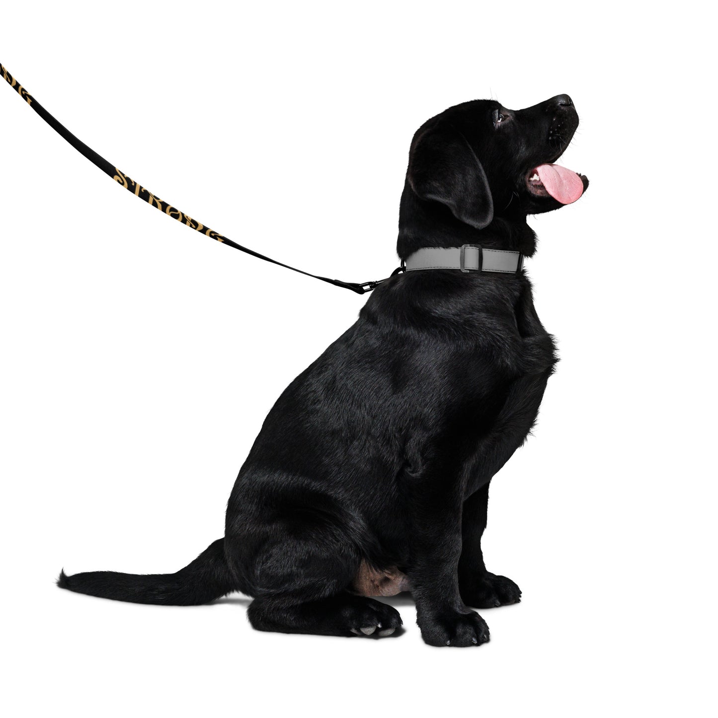 “STRONG”Black Pet Leash W/Fawn Font