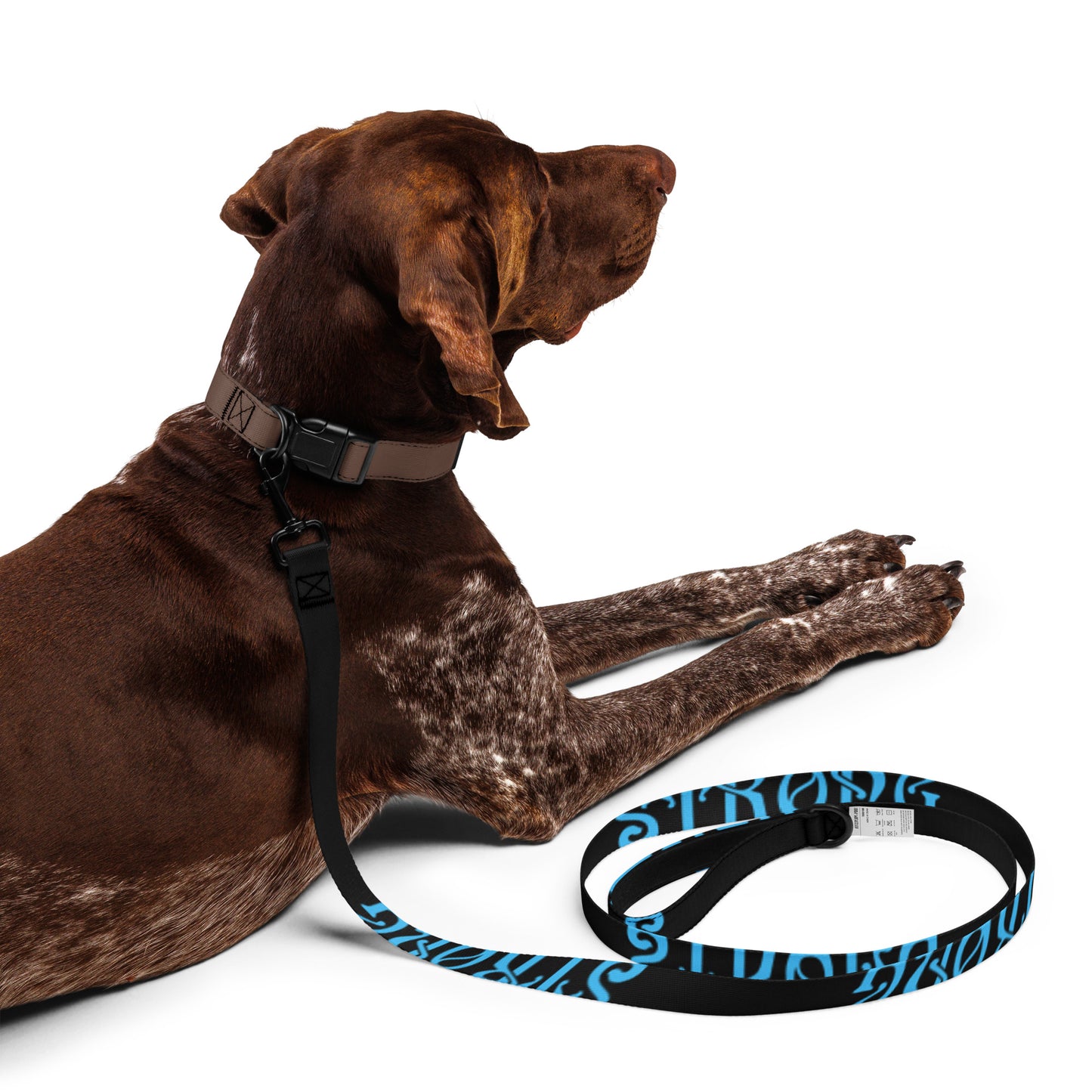 “STRONG”Black Pet Leash W/SkyBlue Font
