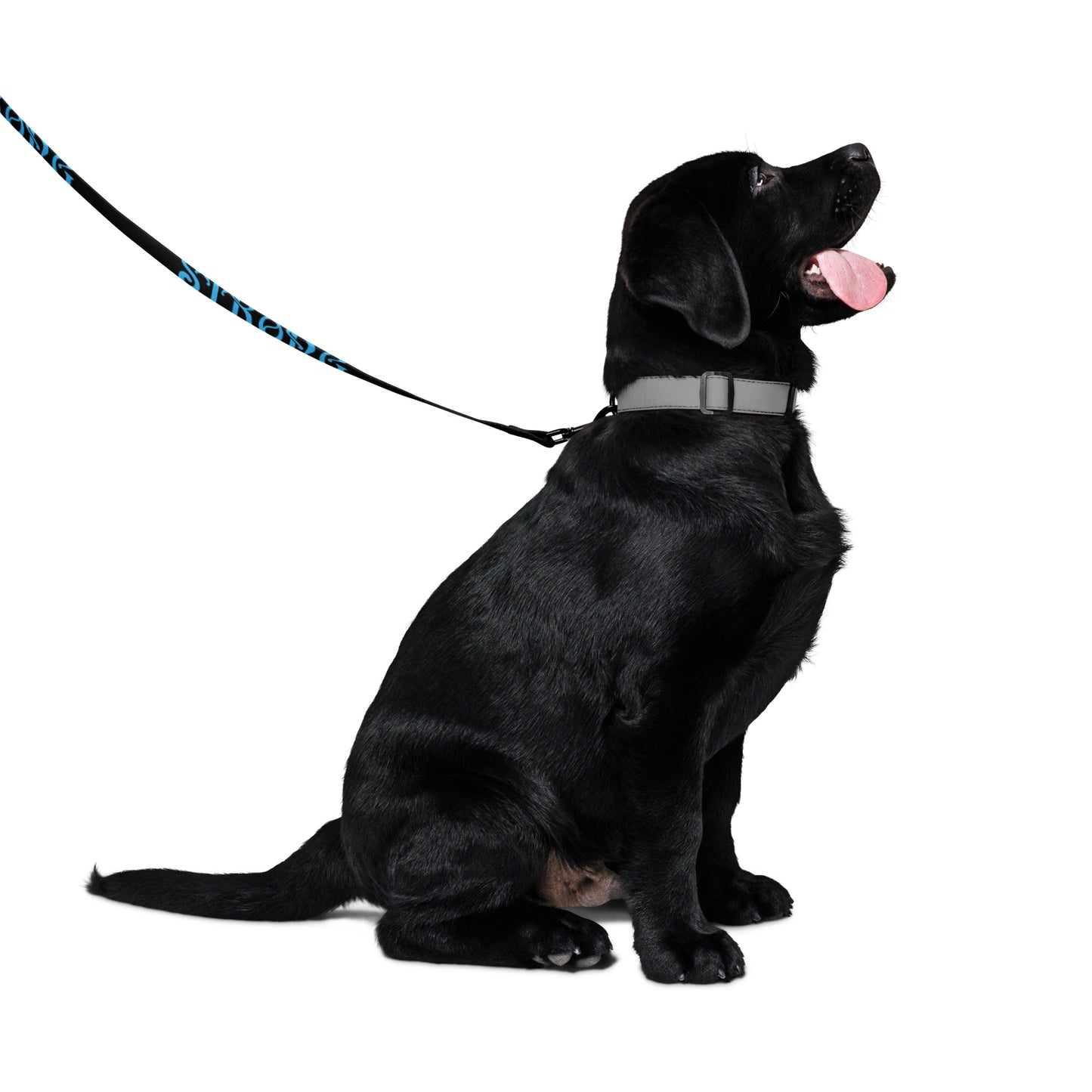 “STRONG”Black Pet Leash W/SkyBlue Font