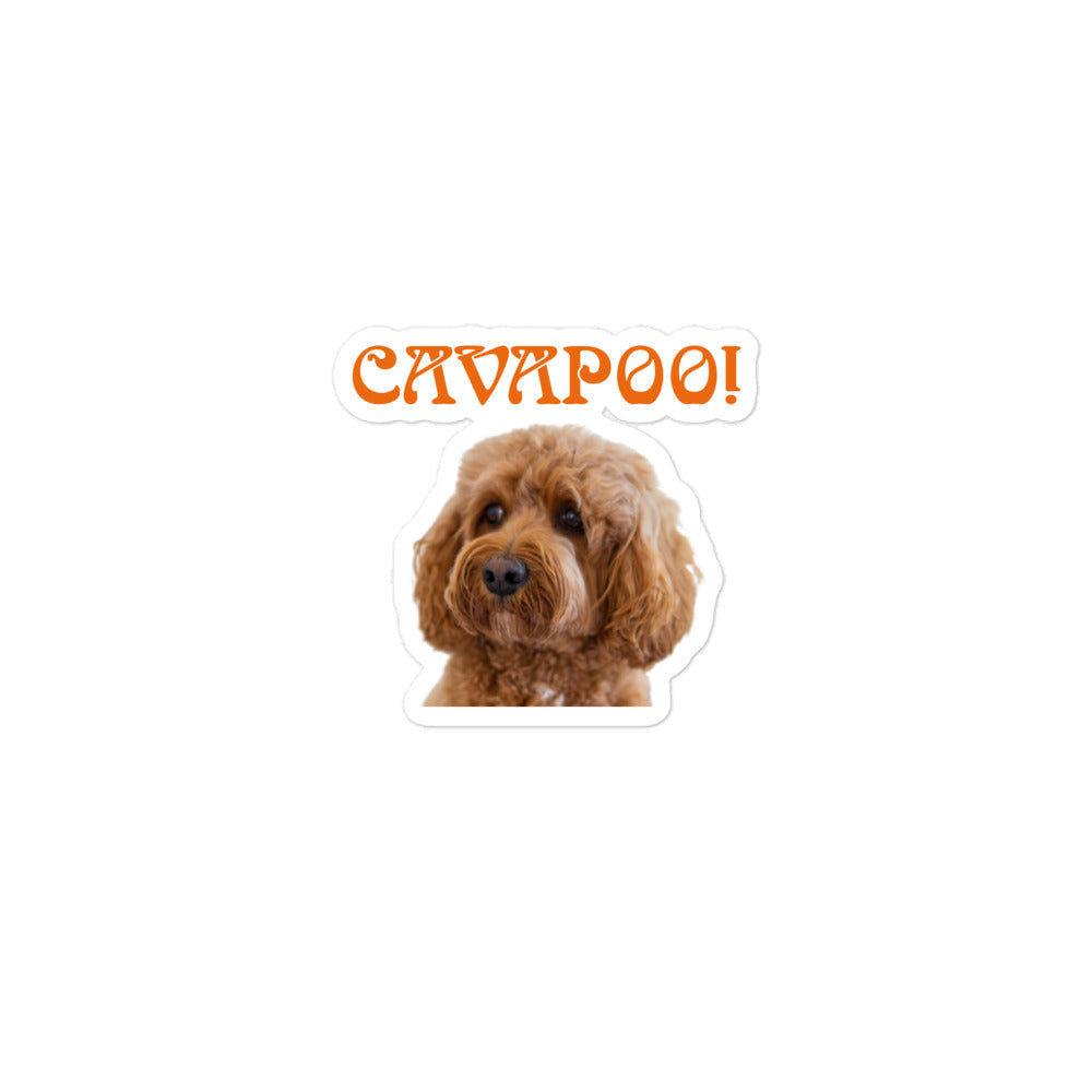 “CAVAPOO!”Bubble-Free Stickers W/Orange Font