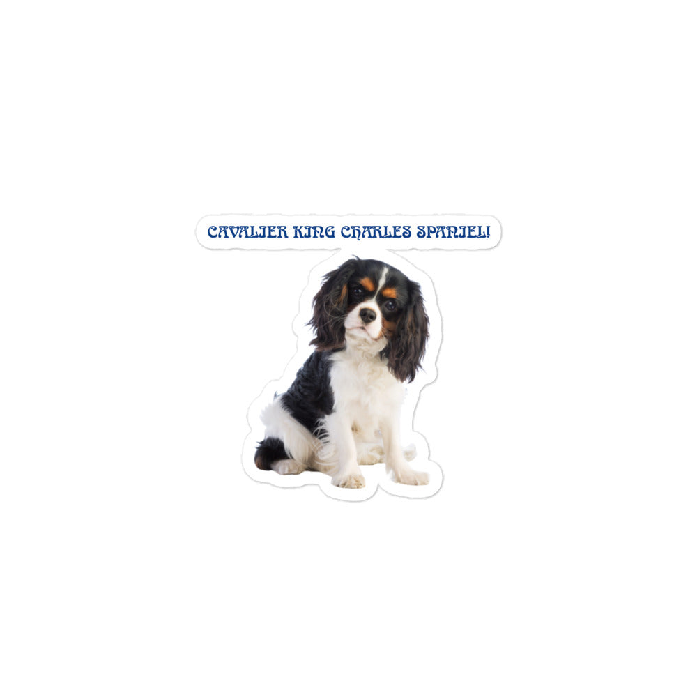 “CAVALIER KING CHARLES SPANIEL!”Bubble-Free Stickers W/Blue Font