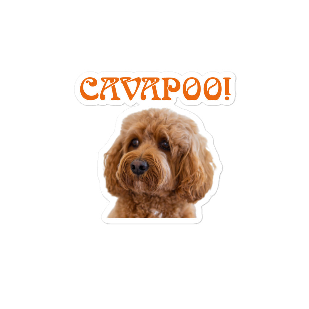 “CAVAPOO!”Bubble-Free Stickers W/Orange Font