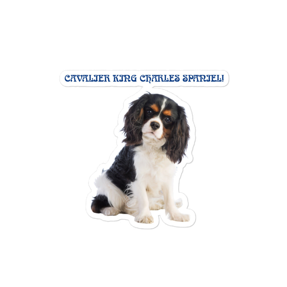 “CAVALIER KING CHARLES SPANIEL!”Bubble-Free Stickers W/Blue Font