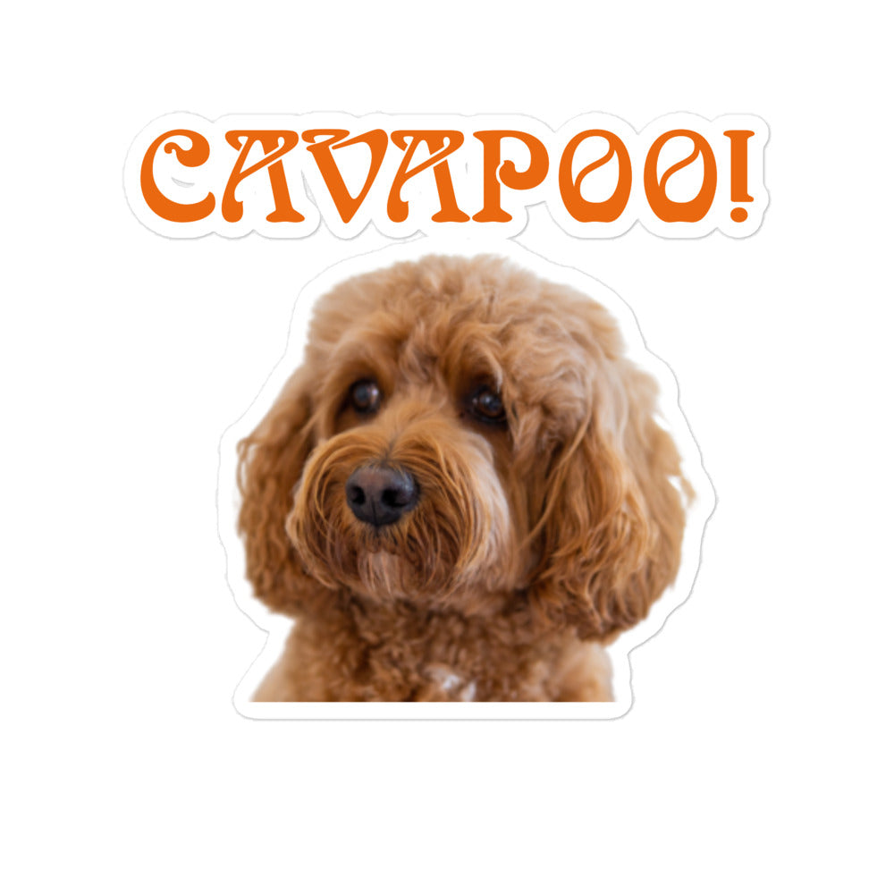 “CAVAPOO!”Bubble-Free Stickers W/Orange Font