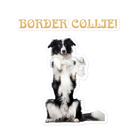 “BORDER COLLIE!”Bubble-Free Stickers W/Fawn Font