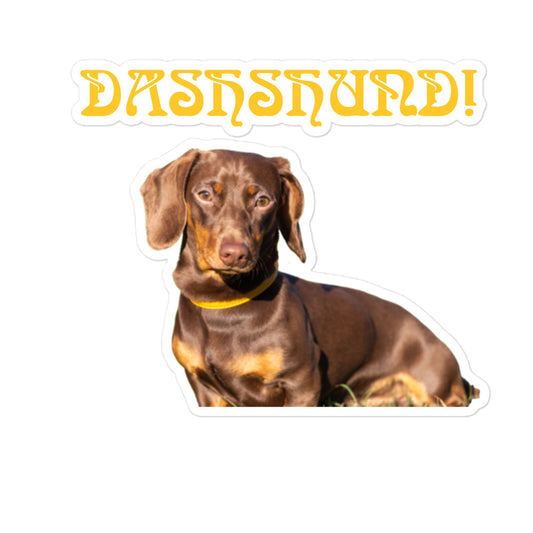 “DASHSHUND!”Bubble-Free Stickers W/Yellow Font