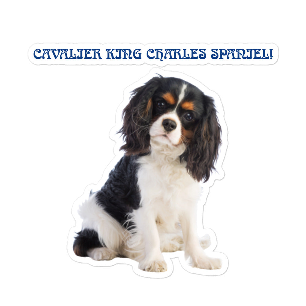 “CAVALIER KING CHARLES SPANIEL!”Bubble-Free Stickers W/Blue Font