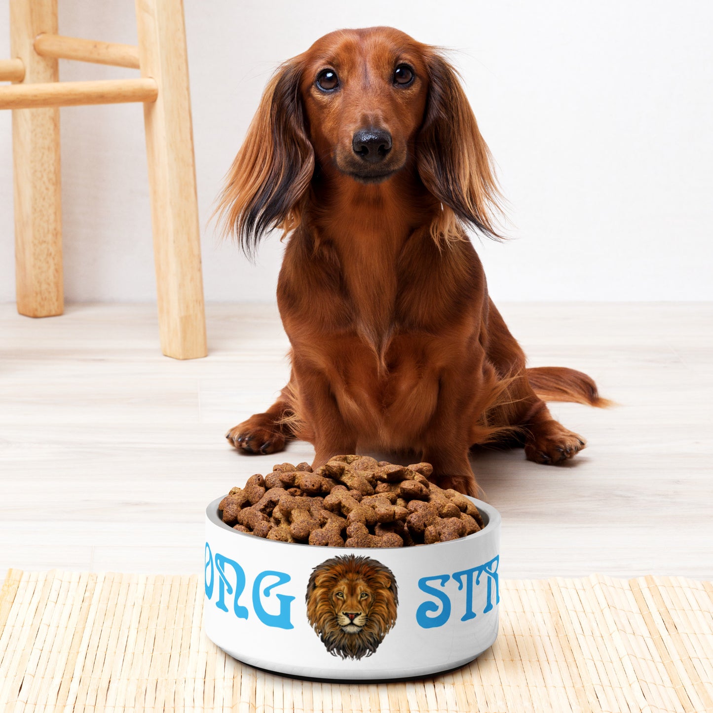 “STRONG” Pet Bowl W/SkyBlue Font