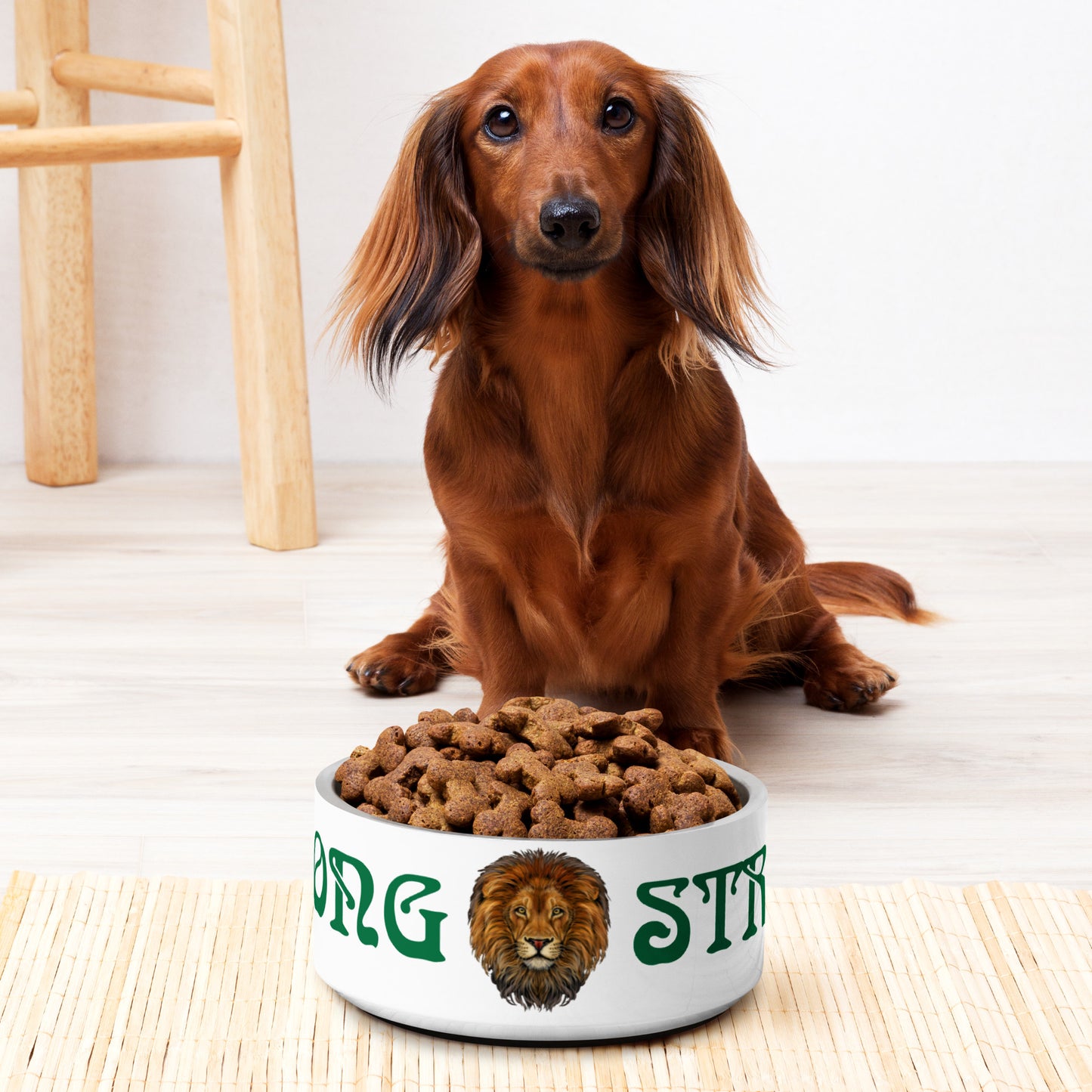 “STRONG” Pet Bowl W/Green Font