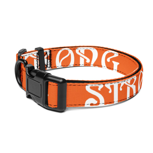 “STRONG” Orange Pet Collar W/White Font