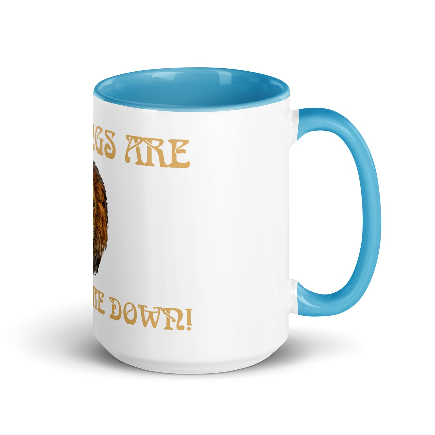 “BLESSINGS ARE CHASING ME DOWN!”Mug with Color Inside W/Fawn Font.